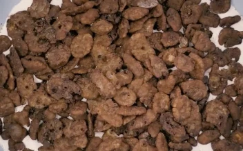 Free Stock Video Rotating Shot Of A Bowl Of Chocolate Flavored Cereal