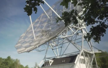 Free Stock Video Rotating Radio Telescope In The Wood
