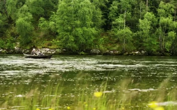 Free Stock Video Rowing A Boat Down The River