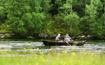 Free Stock Video Rowing A Boat Up Stream