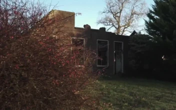 Free Stock Video Ruined House In The Woods
