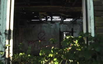 Free Stock Video Ruined House