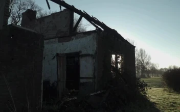 Free Stock Video Ruined House Without Roof In A Forest
