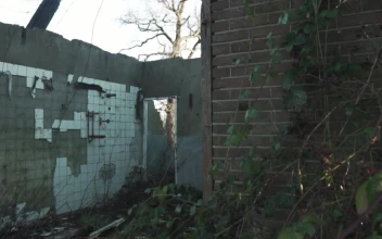 Free Stock Video Ruined Roofless House