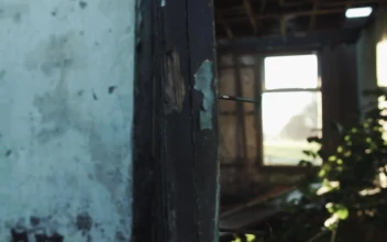 Free Stock Video Ruined Site Near A Path In A Forest