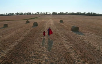 Free Stock Video Running Through A Harvested Field