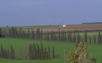 Free Stock Video Rural Landscape And Agricultural Fields