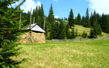 Free Stock Video Rustic Houses In A Mountain Surrounded By Forest