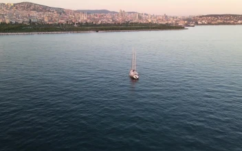 Free Stock Video Sailboat Sailing Near The Coast Of A City