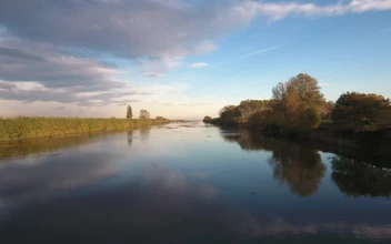 Free Stock Video Sailing A Quiet River In Autumn