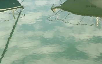 Free Stock Video Sailing Boats Reflecting On The Lake