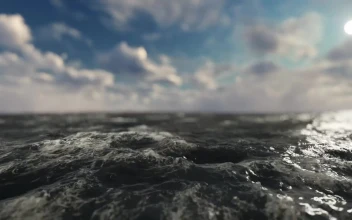 Free Stock Video Sailing In The Ocean D Animation