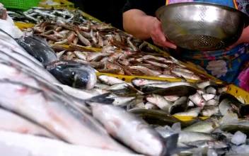 Free Stock Video Saleswoman Offering Fresh Fish