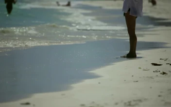 Free Stock Video Sandy Beach With People