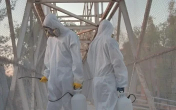 Free Stock Video Sanitizers On A Pedestrian Bridge