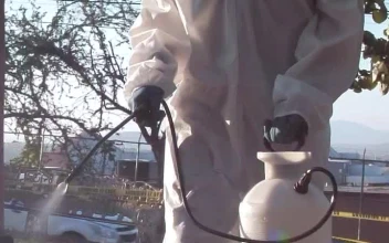 Free Stock Video Sanitizing The Garden Of An Outdoor Park