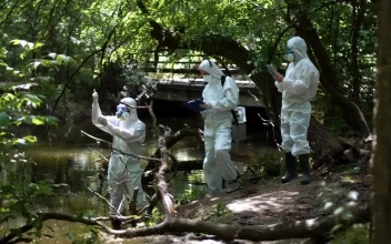 Free Stock Video Scientist In Biohazard Suits Collecting Samples