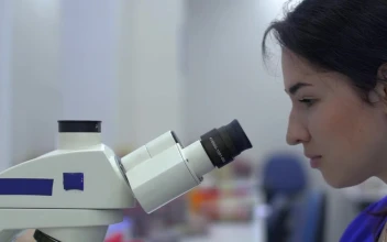 Free Stock Video Scientist Looking Through A Microscope
