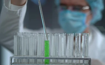Free Stock Video Scientist Working In The Lab