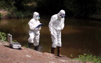 Free Stock Video Scientists Collecting Samples From The Lake