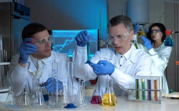 Free Stock Video Scientists Compare Chemical Samples