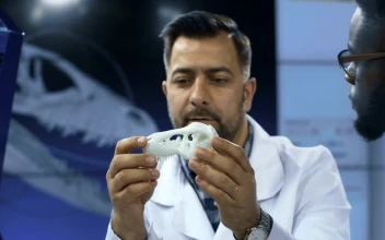 Free Stock Video Scientists Discussing About Dinosaur  D Printed Skull