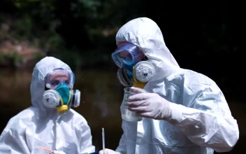 Free Stock Video Scientists Researching Water Samples