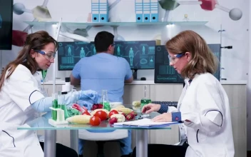 Free Stock Video Scientists Testing Vegetable Samples