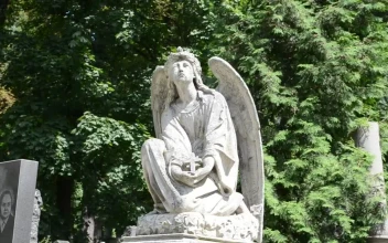 Free Stock Video Sculpture Of An Angel In A Cemetery