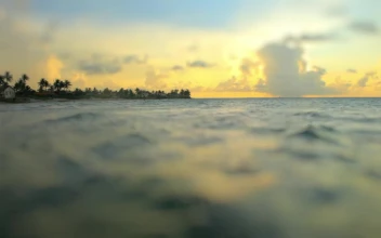 Free Stock Video Sea Seen From The Surface Of The Water