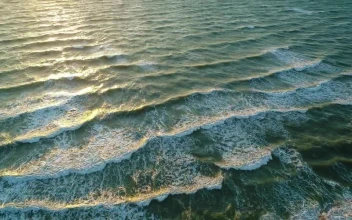 Free Stock Video Sea Water Rippling And Foaming Gently