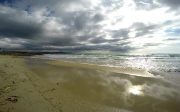 Free Stock Video Sea Water Stagnant In The Sand On The Shore