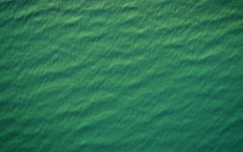 Free Stock Video Sea Water Texture Slowly Waving