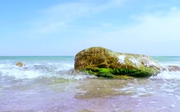 Free Stock Video Sea Waves Breaking On The Stones