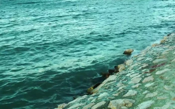 Free Stock Video Sea Waves Coming Ashore In A Tourist Port
