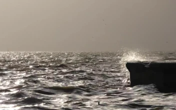 Free Stock Video Sea Waves Hitting A Dock