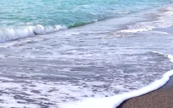 Free Stock Video Sea Waves In A Sandy Beach