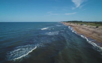 Free Stock Video Sea Waves Reaching The Beach In The Seashore