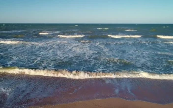 Free Stock Video Sea Waves Reaching The Sand On The Beach