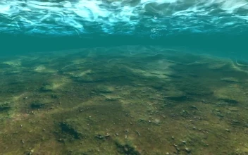 Free Stock Video Sea Waves Reflected In The Seabed