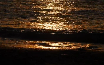 Free Stock Video Sea Waves Reflecting The Sunset Close Up