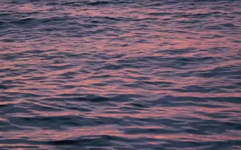 Free Stock Video Sea Waves Reflecting The Sunset