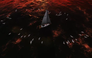 Free Stock Video Seagulls Spinning Around A Sailboat