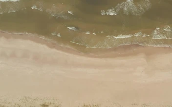 Free Stock Video Seashore On The Beach With Sandy Tones