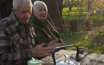 Free Stock Video Senior Couple In The Garden