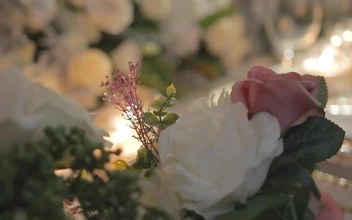 Free Stock Video Sequence Of A Decorated Wedding Table