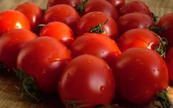 Free Stock Video Set Of Wet Tomatoes Spinning In A Close Up Shot