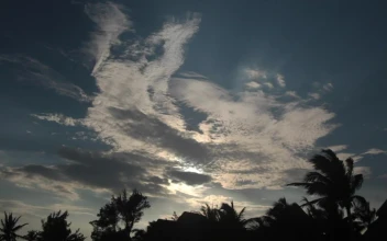 Free Stock Video Shadows Over A Beach In Mexico