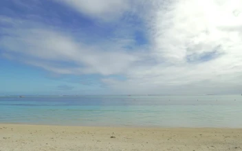 Free Stock Video Shallow Water Along A Tropical Beach