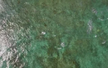Free Stock Video Shallow Waters Leading To The Deep Ocean